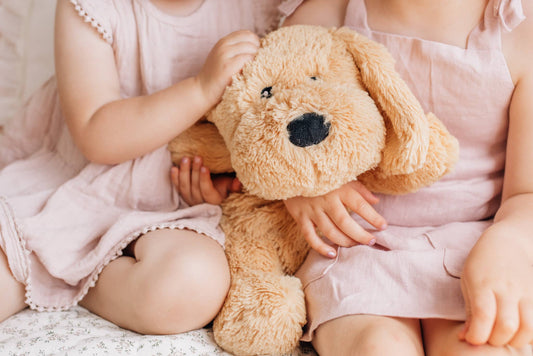 Puppy Charlie verzwaarde knuffel