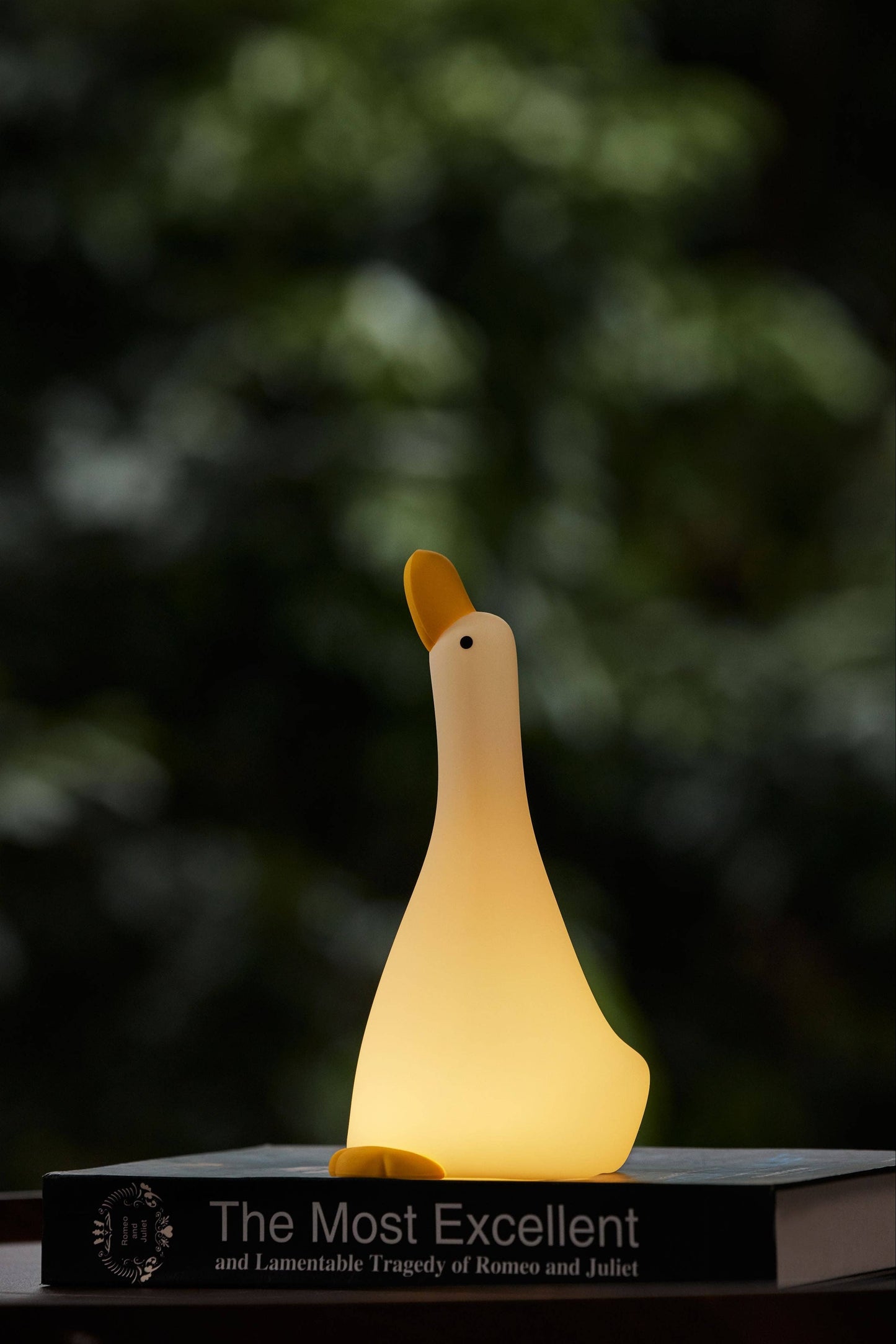 Nachtlampje Gans met 3 standen en 30 minuten timer